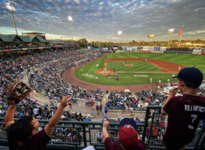 Somerset_Patriots_Baseball_2