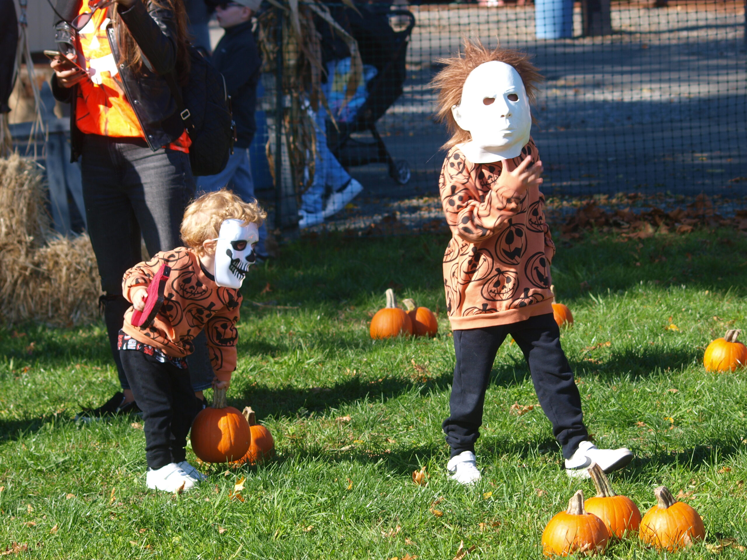 Join in the Halloween fun at the Whippany Railway Museum onboard "The Pumpkin Patch Train" !