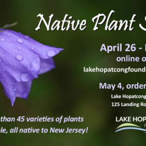 Lake Hopatcong Foundation Native Plant Sale Flyer