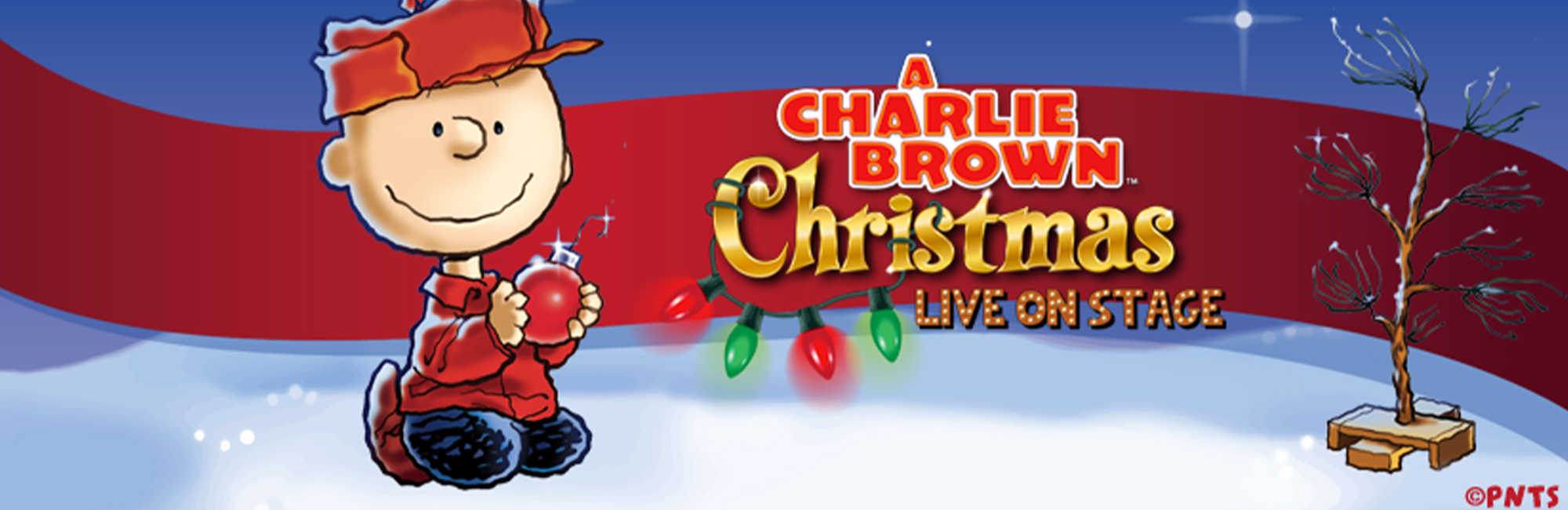 A Charlie Brown Christmas Live On Stage