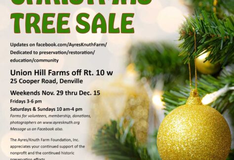 Ayres Knuth Farm Foundation Tree Sale flyer