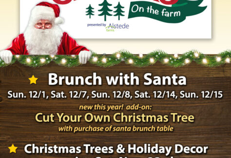 Brunch with Santa at Alstede Farms flyer