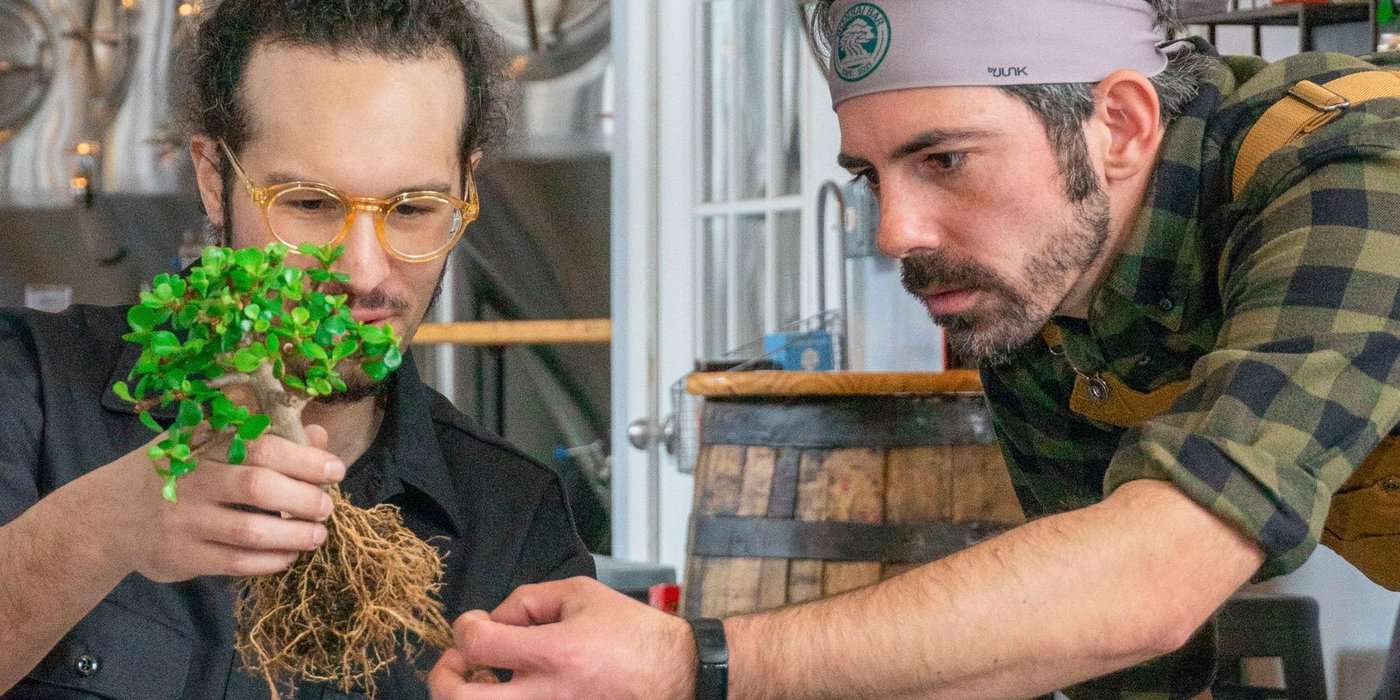 Bonsai Workshop at Autodidact Beer