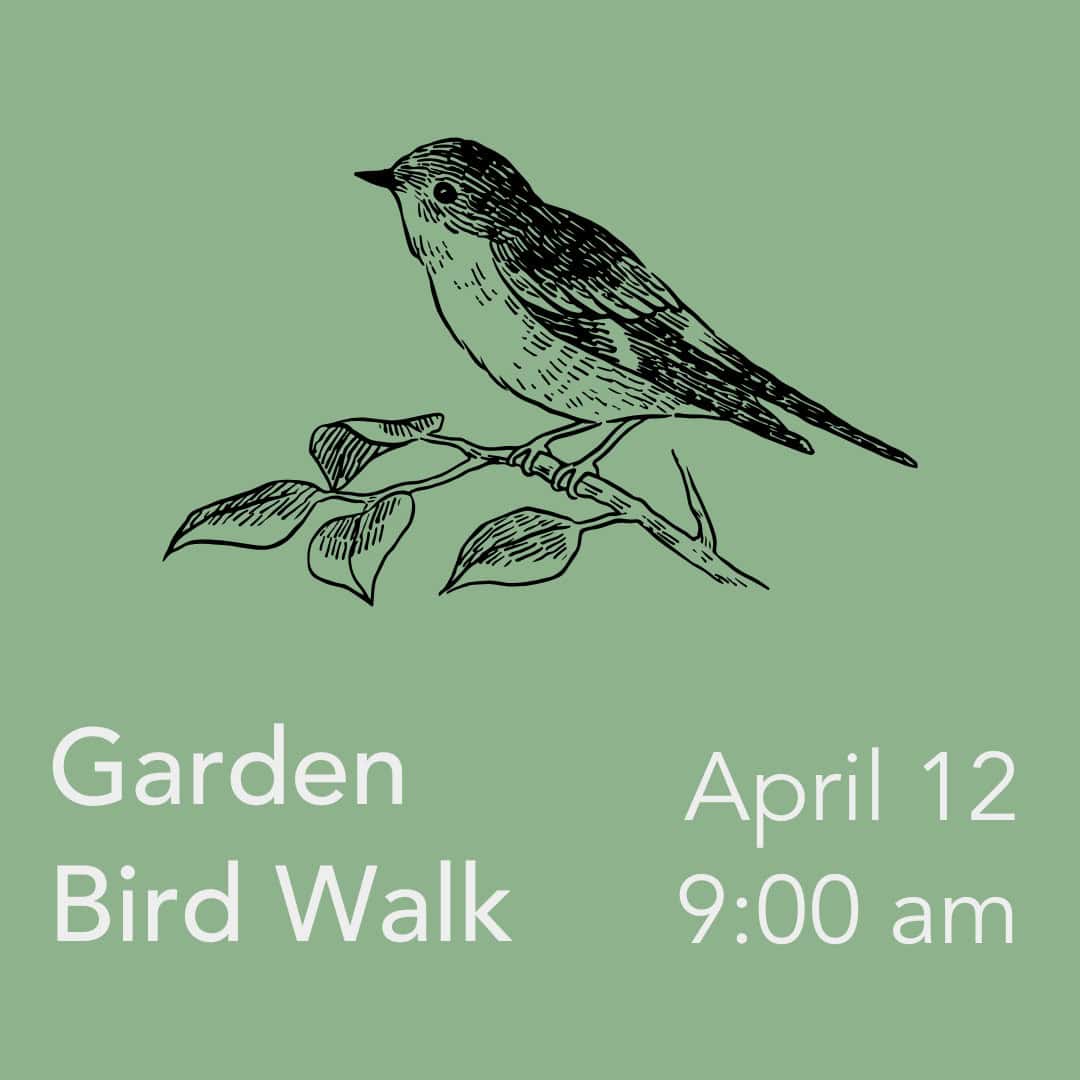 Garden Bird Walk with New Jersey Audubon