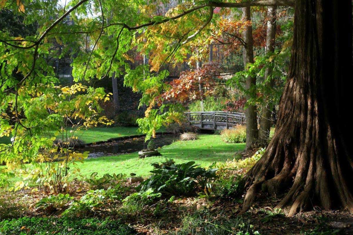 Local Hidden Gems Lecture Series: Leonard J. Buck Garden photo