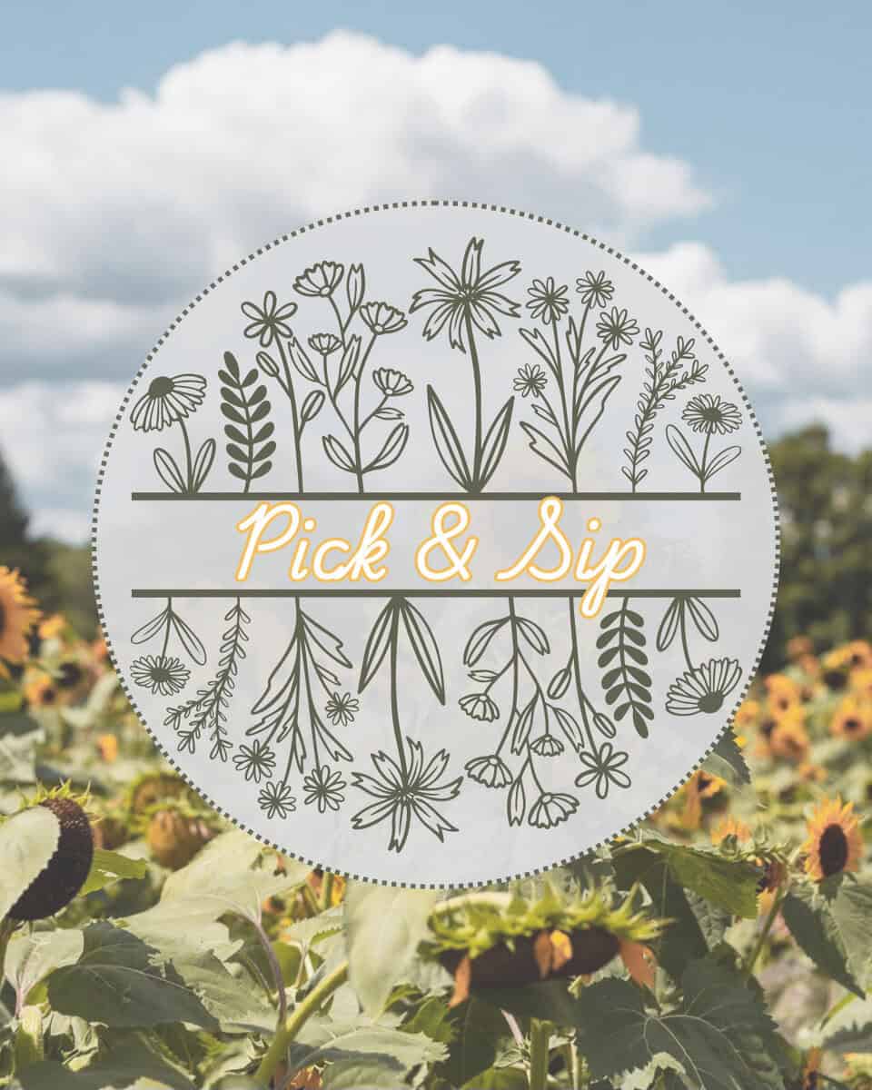 Pick & Sip