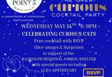 The Great Curious Cocktail Party flyer