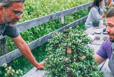 Bonsai Workshop