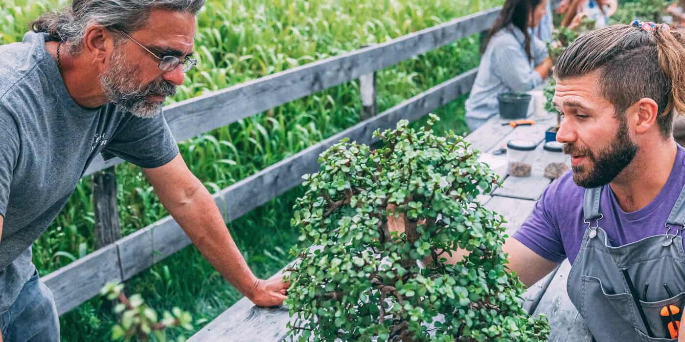 Bonsai Workshop