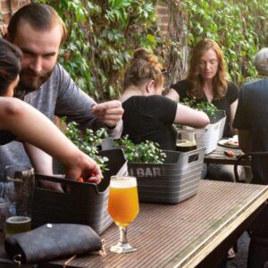Beginner Bonsai Workshop at Glenbrook Brewery