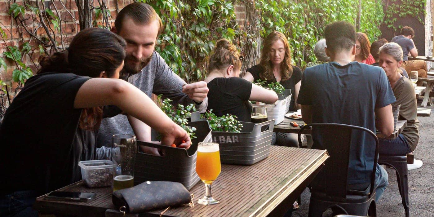 Beginner Bonsai Workshop at Glenbrook Brewery