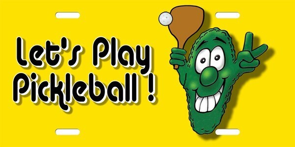 2025 Adult Pickleball Summer Sessions
