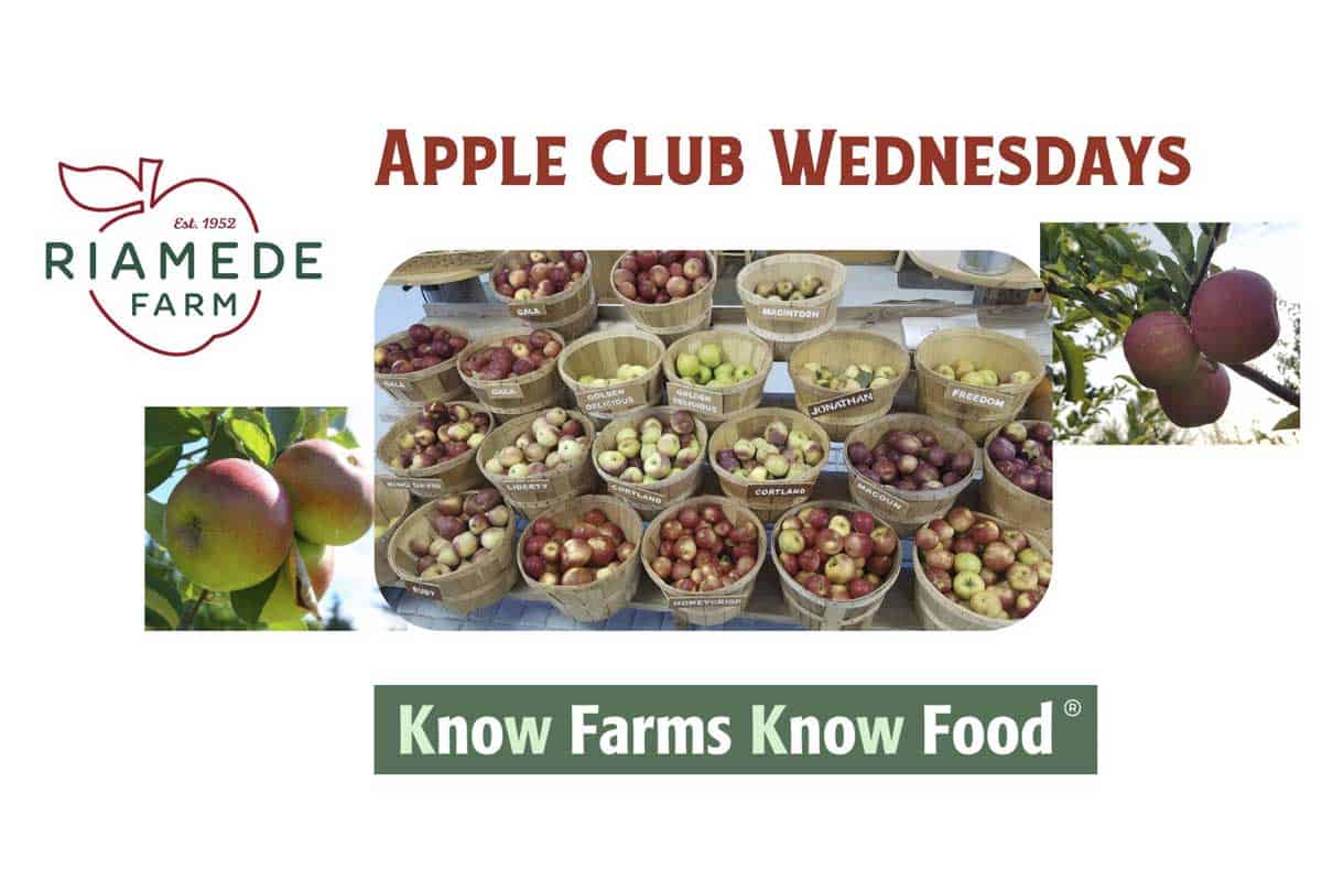 Riamede Farm Apple Club Wednesdays 2025