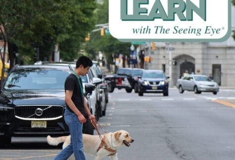 Learn with The Seeing Eye