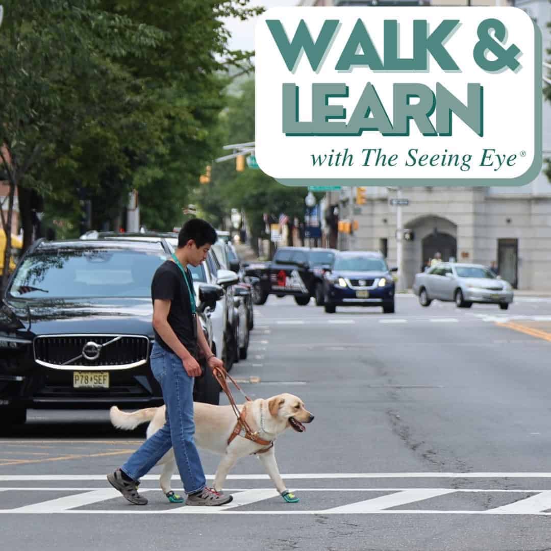 Learn with The Seeing Eye