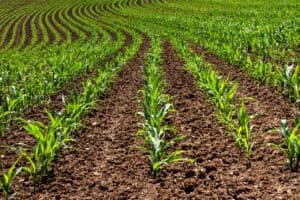 Morris County Tourism Bureau Issues RFP for Agritourism Branding & Marketing Campaign