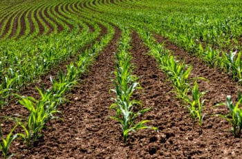Morris County Tourism Bureau Issues RFP for Agritourism Branding & Marketing Campaign