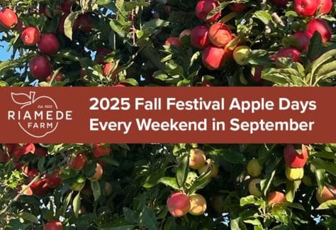 Fall Festival Apple Days - Every Weekend in September apple grove photo