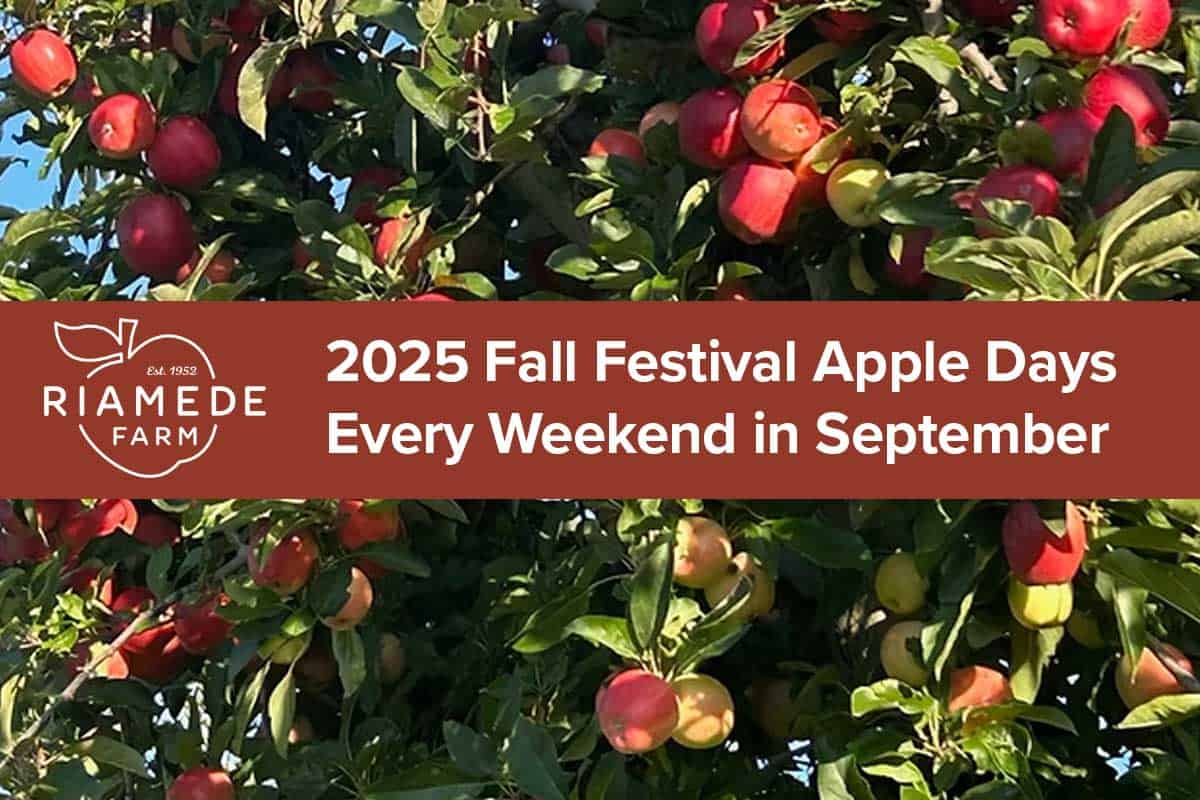 Fall Festival Apple Days - Every Weekend in September apple grove photo