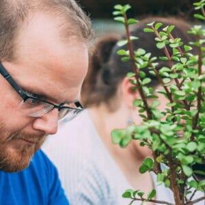 Bonsai Workshop