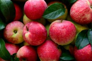 Taste the Season: Apple Cider Farms in Morris County, NJ
