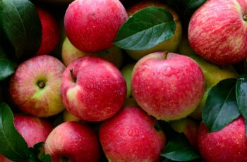 Taste the Season: Apple Cider Farms in Morris County, NJ