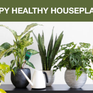 Happy Healthy Houseplants at Mendham Township Library graphic