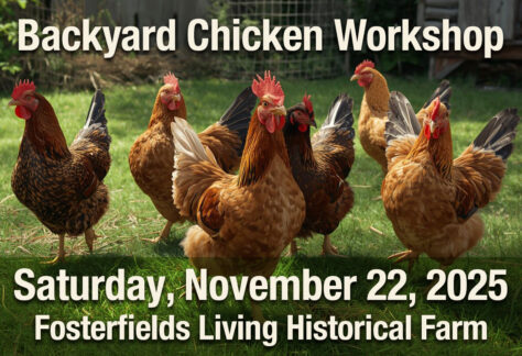 Backyard Chicken Workshop at Fosterfields