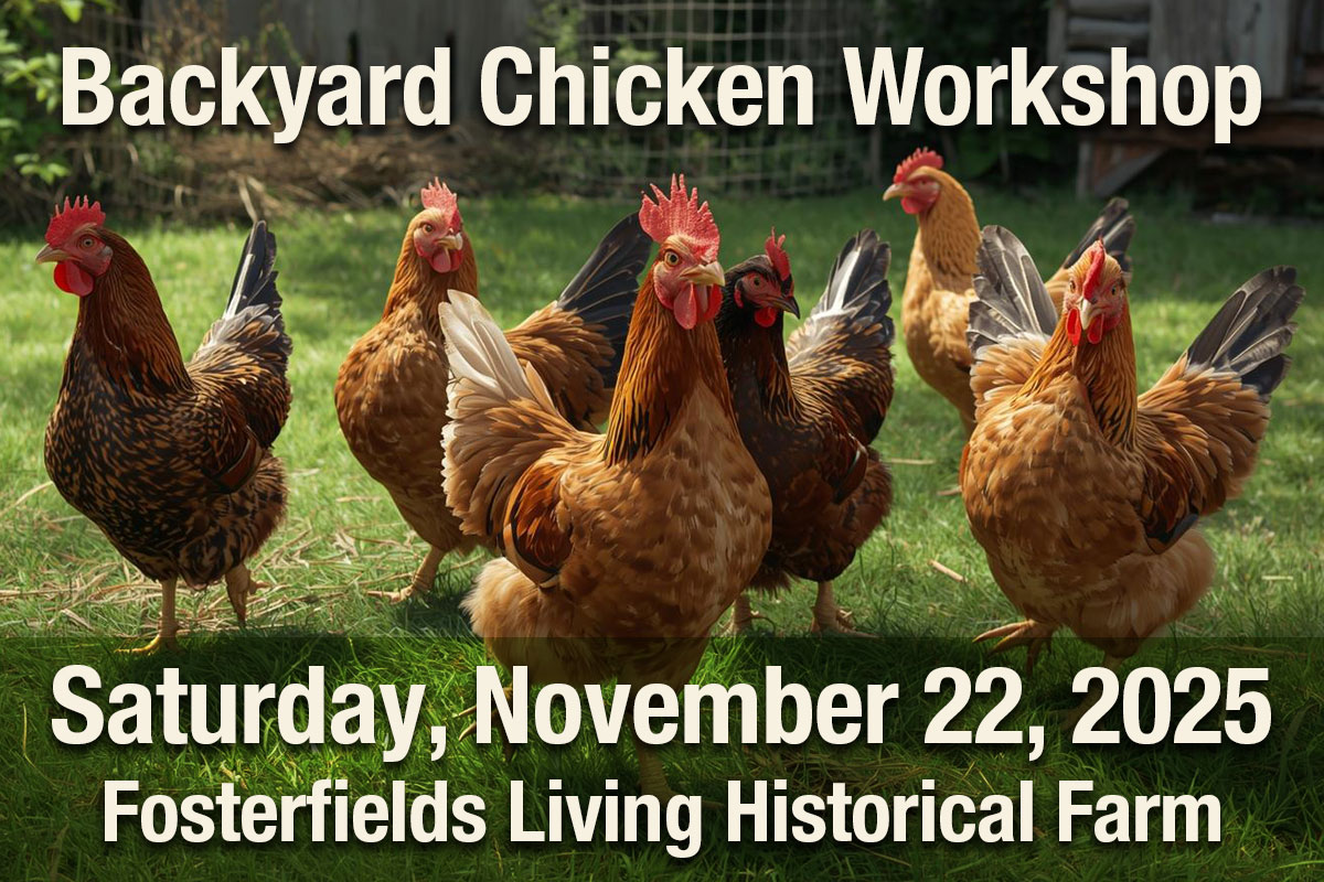 Backyard Chicken Workshop at Fosterfields