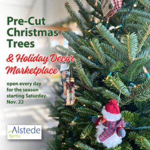 Pre-Cut Christmas Tree and Holiday Décor Marketplace at Alstede Farms flyer