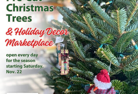 Pre-Cut Christmas Tree and Holiday Décor Marketplace at Alstede Farms flyer