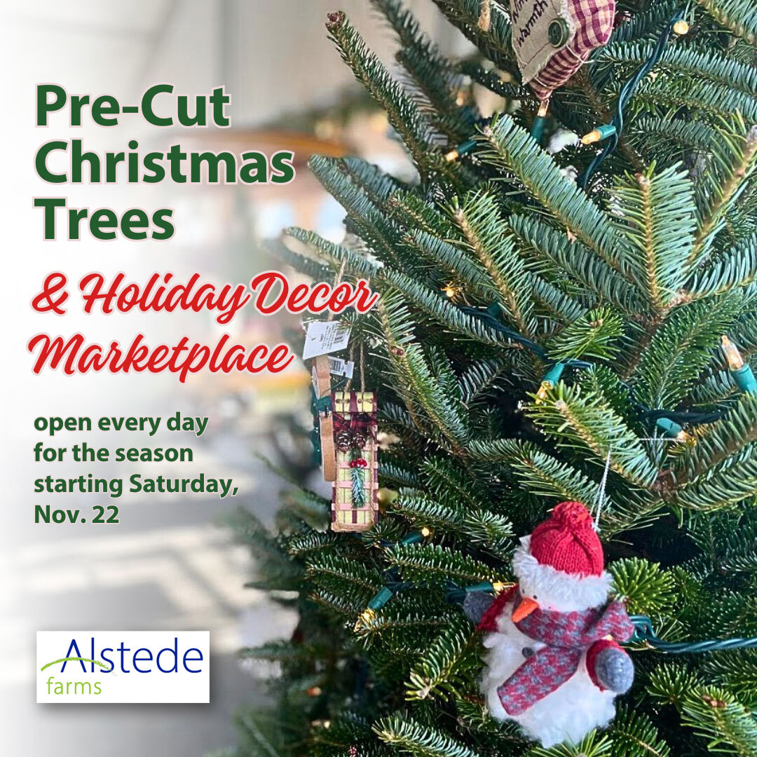 Pre-Cut Christmas Tree and Holiday Décor Marketplace at Alstede Farms flyer