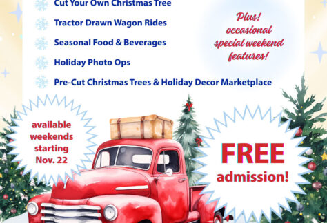 Country Christmas at Alstede Farms flyer