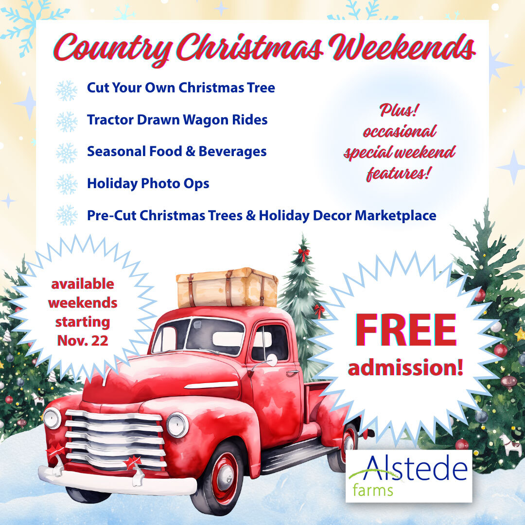 Country Christmas at Alstede Farms flyer