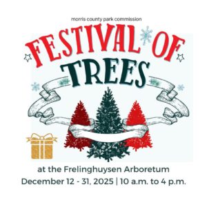 2025 Festival of Trees at Frelinghuysen Arboretum