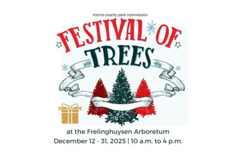 2025 Festival of Trees at Frelinghuysen Arboretum