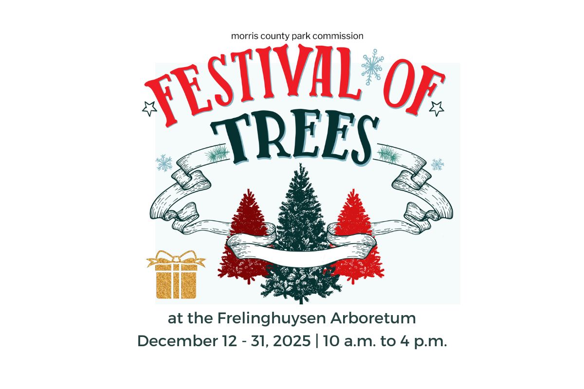 2025 Festival of Trees at Frelinghuysen Arboretum