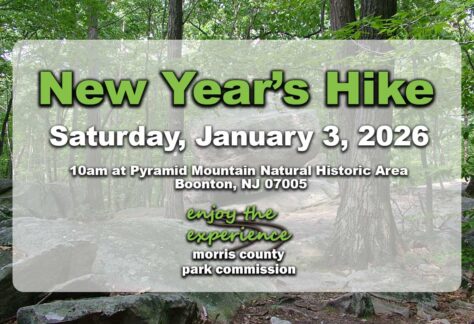 New Year's Hike graphic