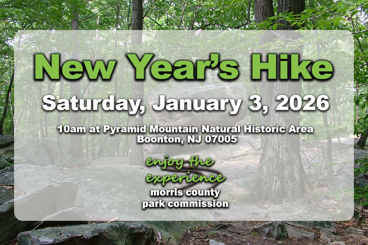 New Year's Hike graphic