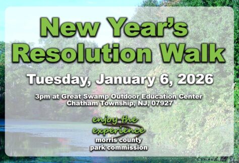 New Year's Resolution Walk graphic
