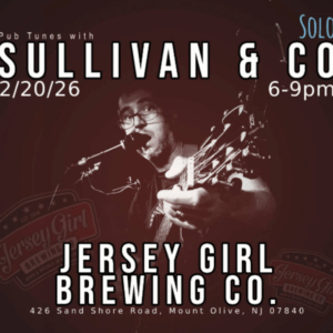 Kevin Sullivan Live Solo Musician