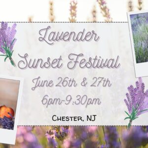 Lavender Sunset Cover Photo