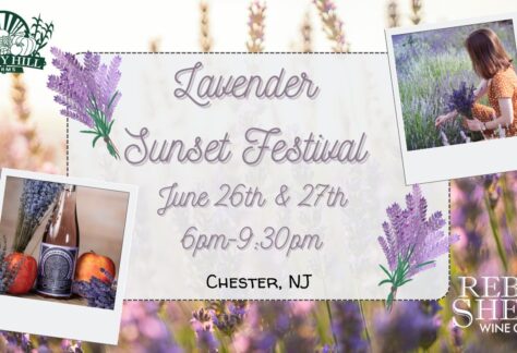 Lavender Sunset Cover Photo