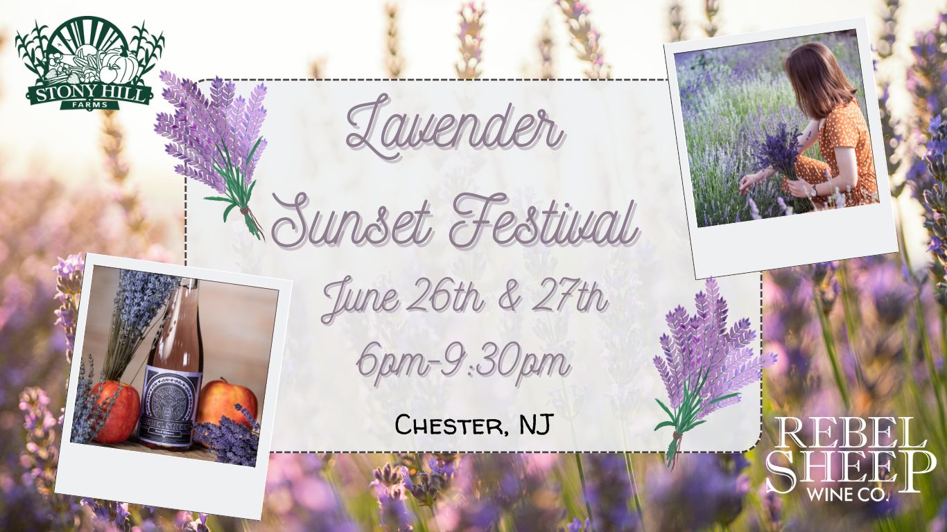Lavender Sunset Cover Photo