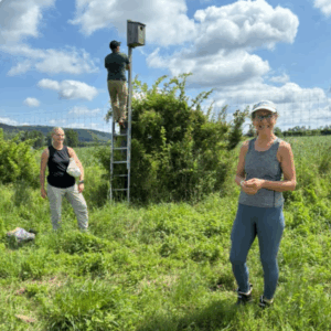 Bird Walk with Deb DeSalvo