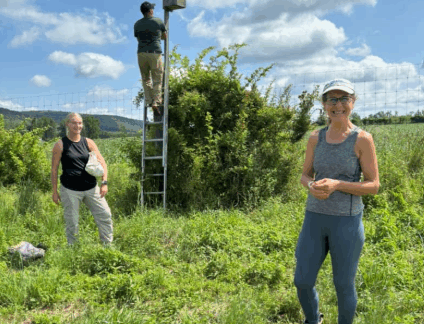 Bird Walk with Deb DeSalvo