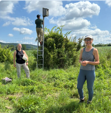 Bird Walk with Deb DeSalvo