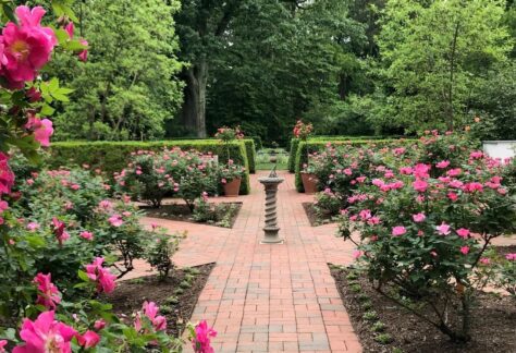 Historic Ground and Gardens Tour