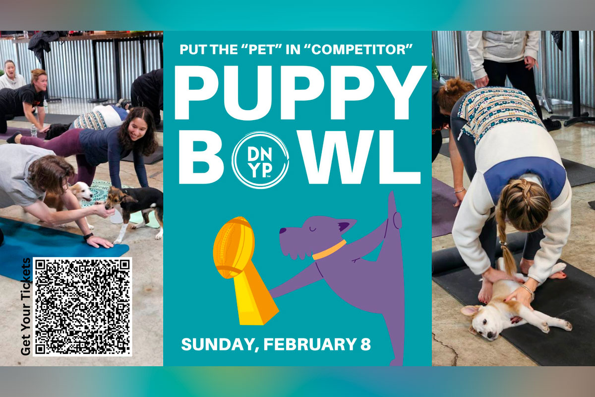 Puppy Bowl at Jersey Girl Brewing