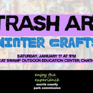 Trash Art Winter Crafts Morris Parks
